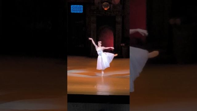 11 марта 2024 г.