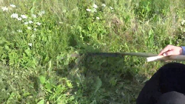 Касіу Ясь канюшыну