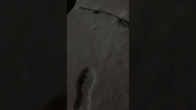 #прикол Толик С Новым Годом))) об...ли тачку😂😂😂