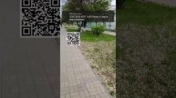 Прямая трансляция fishing и мы !