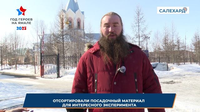 Картофель в Волноваху