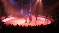 Circus acrobatics,Цирковая акробатика