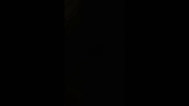 VID_20250430_233011.mp4