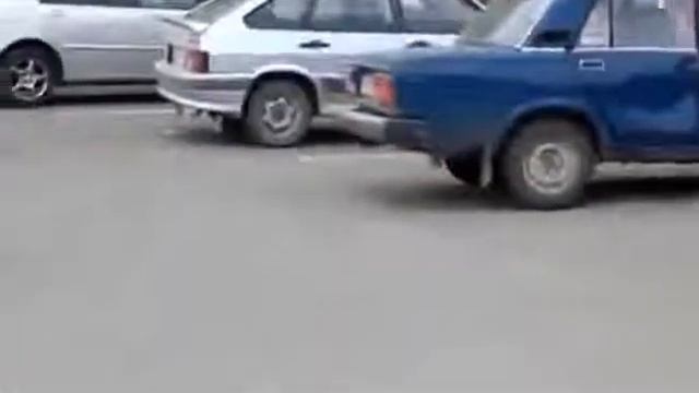 Забавные и Смешные Кошки и Собаки! Отличная Подборка!