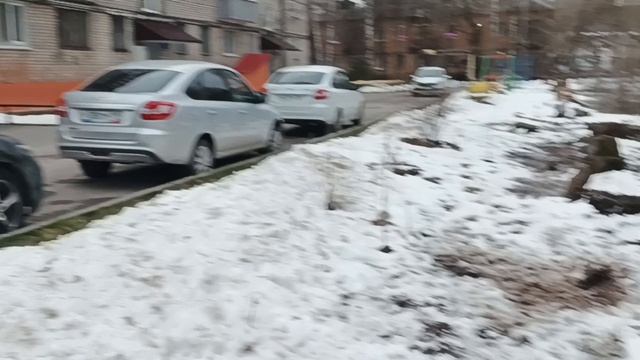 Утки в городе Пермь