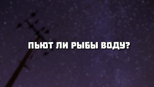 Тупой и ещё тупее: топ глупых вопросов | Дарвин в шоке!