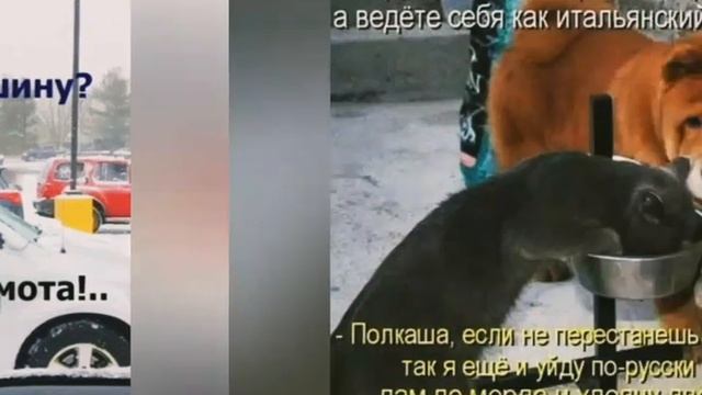 сдача экзамена по вождению  инструктор в шоке                  юмор позитив приколы смешные забавны