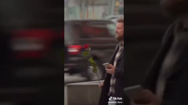 Прикол дня