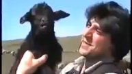 Кавказский юмор и беспредел Кавказский Джеки Чан