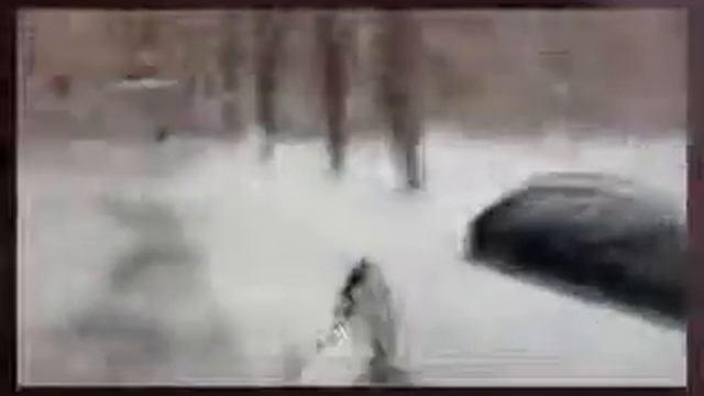 умора два зайца побили гопникав и отбили свой диван