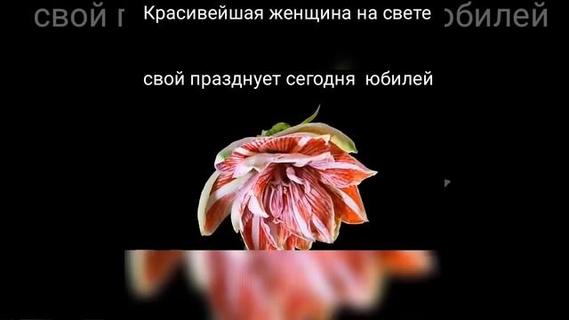 Поздравление Светлане Алексеевне
