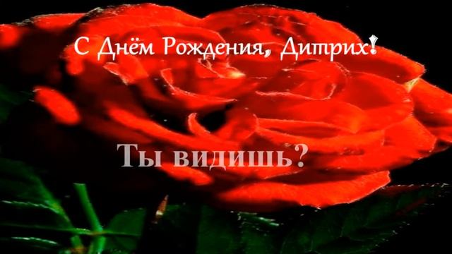 Смешное поздравление. С Днём Рождения, Дитрих!