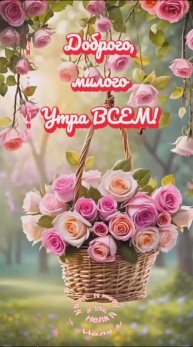 Доброе утро. ВидеоОткрытки