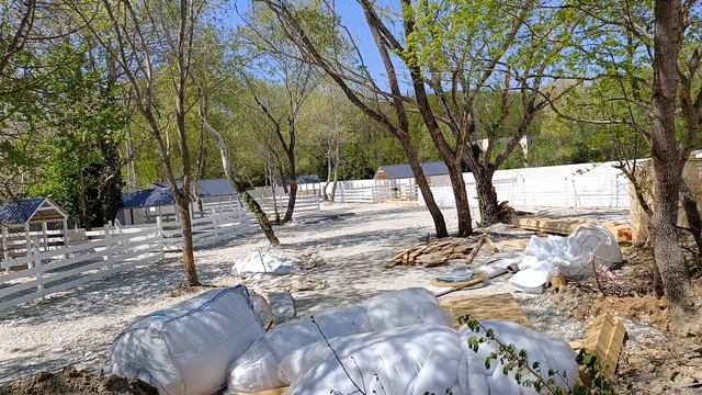 Ферма альпак на Кипарисовом озере Сукко 29 апреля 2025 года