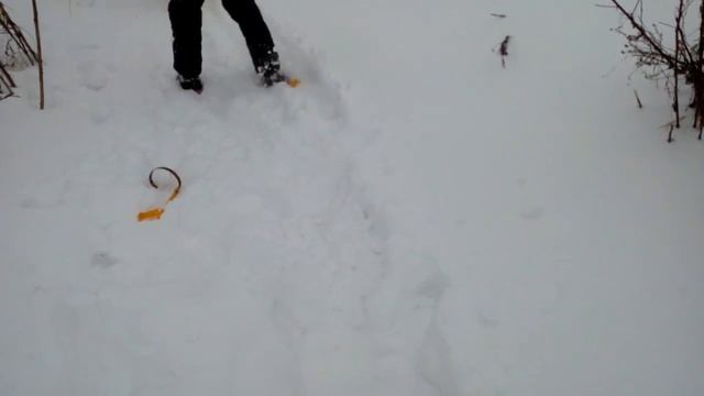 Зимние приколы. winter.
