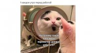 Проста Читаю прикольные Мемчики и Смеюсь! ахаха! Я смеялся миллион лет! до н.э 😂