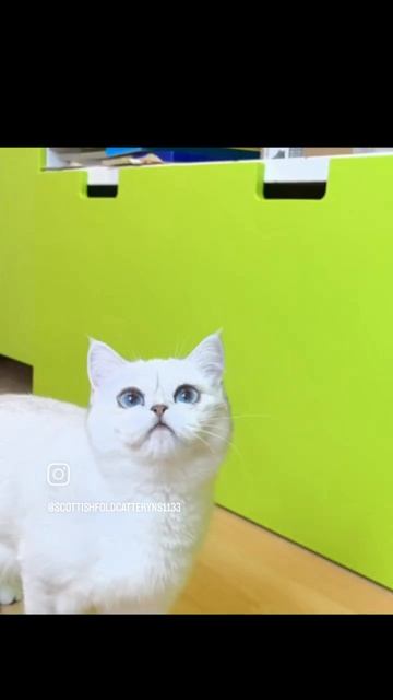 VID_20250430_113857_565.mp4