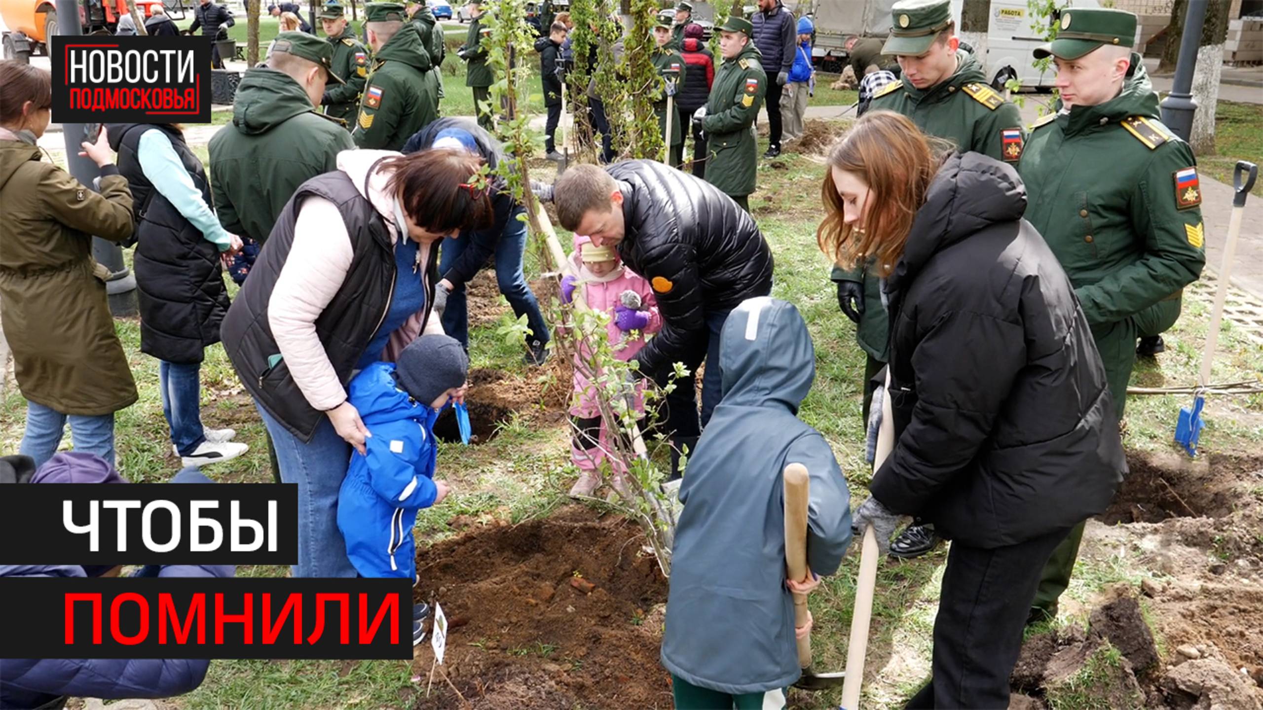 Более 150 клёнов высадили в Балашихе в память о бойцах СВО