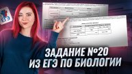 Задание 20: Полный разбор для ЕГЭ по биологии I Умскул