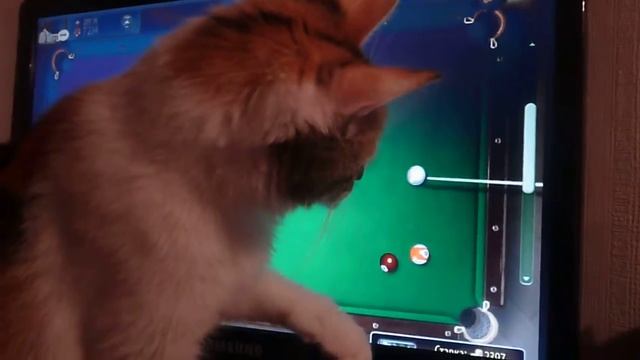 Сабрина играет бильярд♥