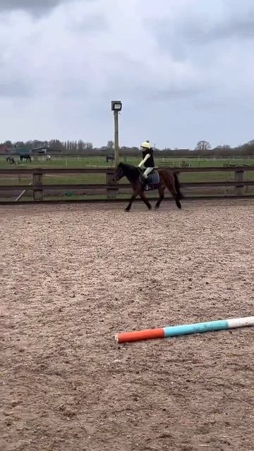 her trot is so smooth ❤️ I’m inlove xxx