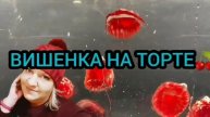 ИСПОЛЬЗУЕТ СОБСТВЕННУЮ ДОЧЬ. VREDINA LIFE. ОБЗОР.