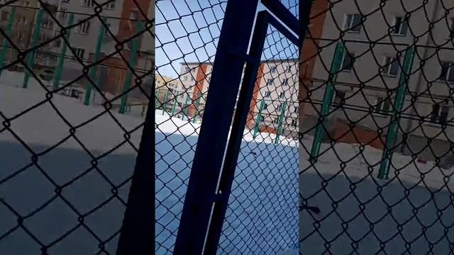 смешно Киборг убийца догонялки
