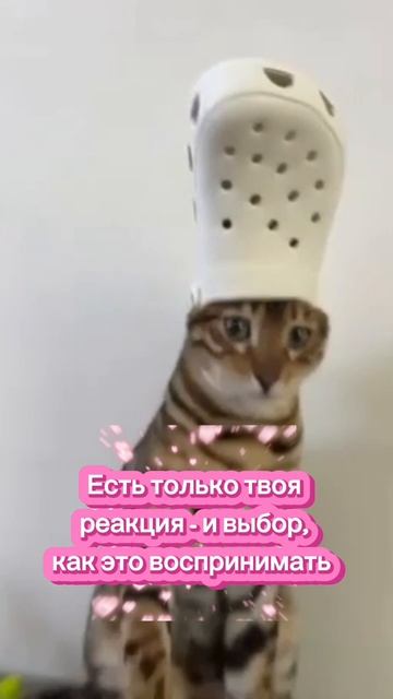 Проблем не существует #творец #раскрытиесердца #силасознания #проблемывотношениях