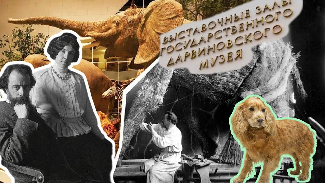 Почему нужно сходить с детьми в Дарвиновский музей