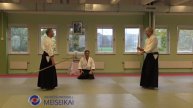 21 Aikido Jo Tai Ken Ai Hanmi Nikyo Shishiya Sensei Malmö 2017