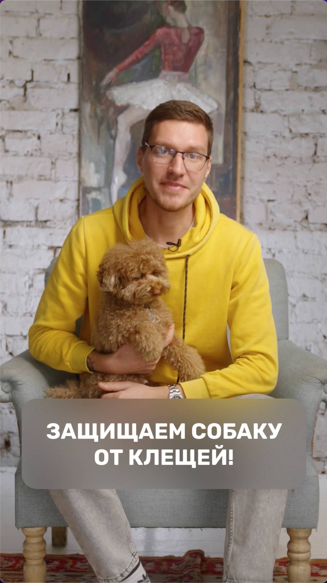 Защищаем собаку от клещей!