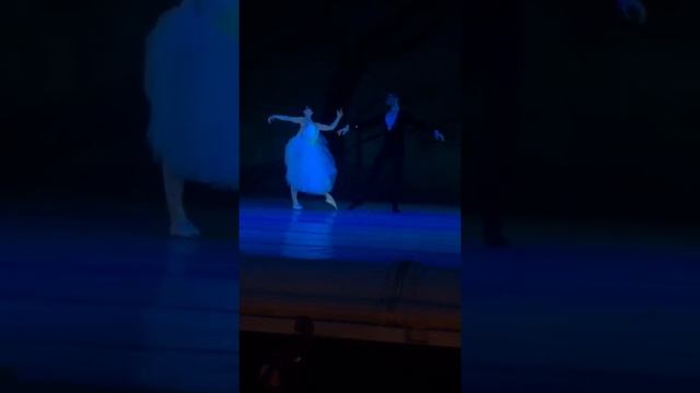 Жизель 2акт.