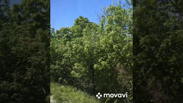 Из Новороссийска в Кабардинку 29.04.2025 г. Россия.