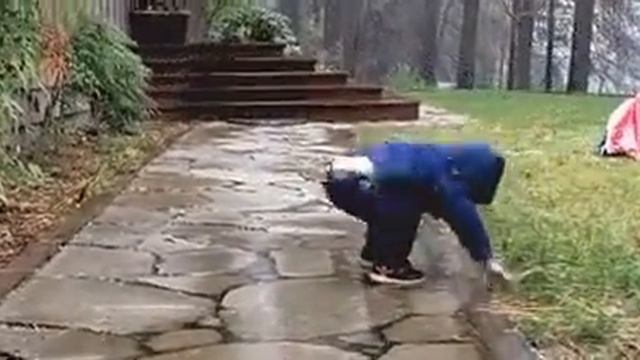 прикол "гравитация"