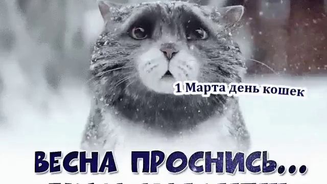 Весна проснись))