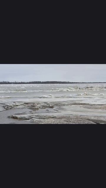ледоход Обь