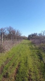 Продажа участка в Крыму в Сакском районе