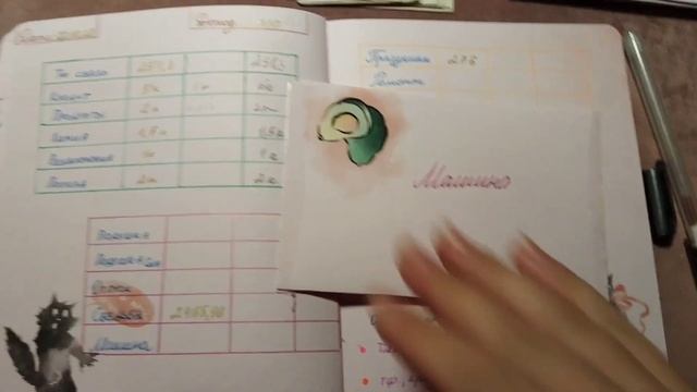 Распределение бюджета по конвертам, возвращение блудного попугая