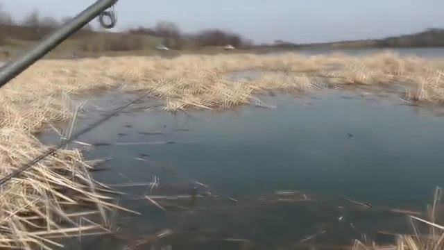 Рыбалка. Ловля карася на поплавок весной [в марте ]. My fishing