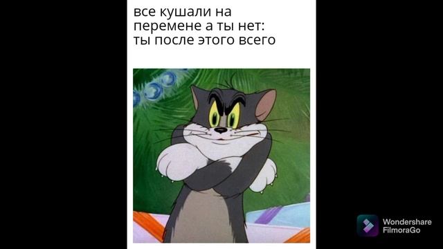 самые смешные картинки в моей библиотеки картинки