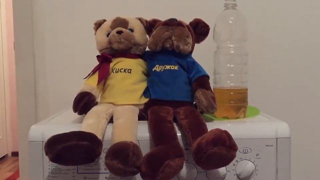 Шумел камыш