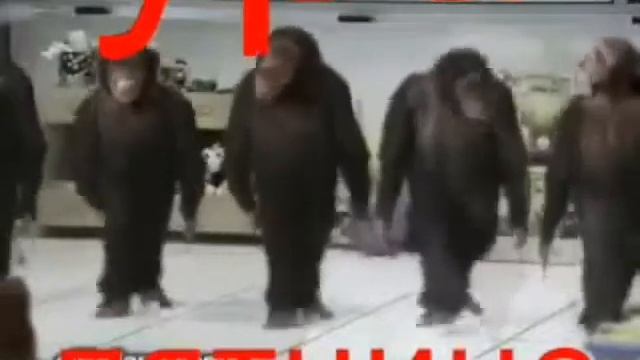 Ура! Пятница!
