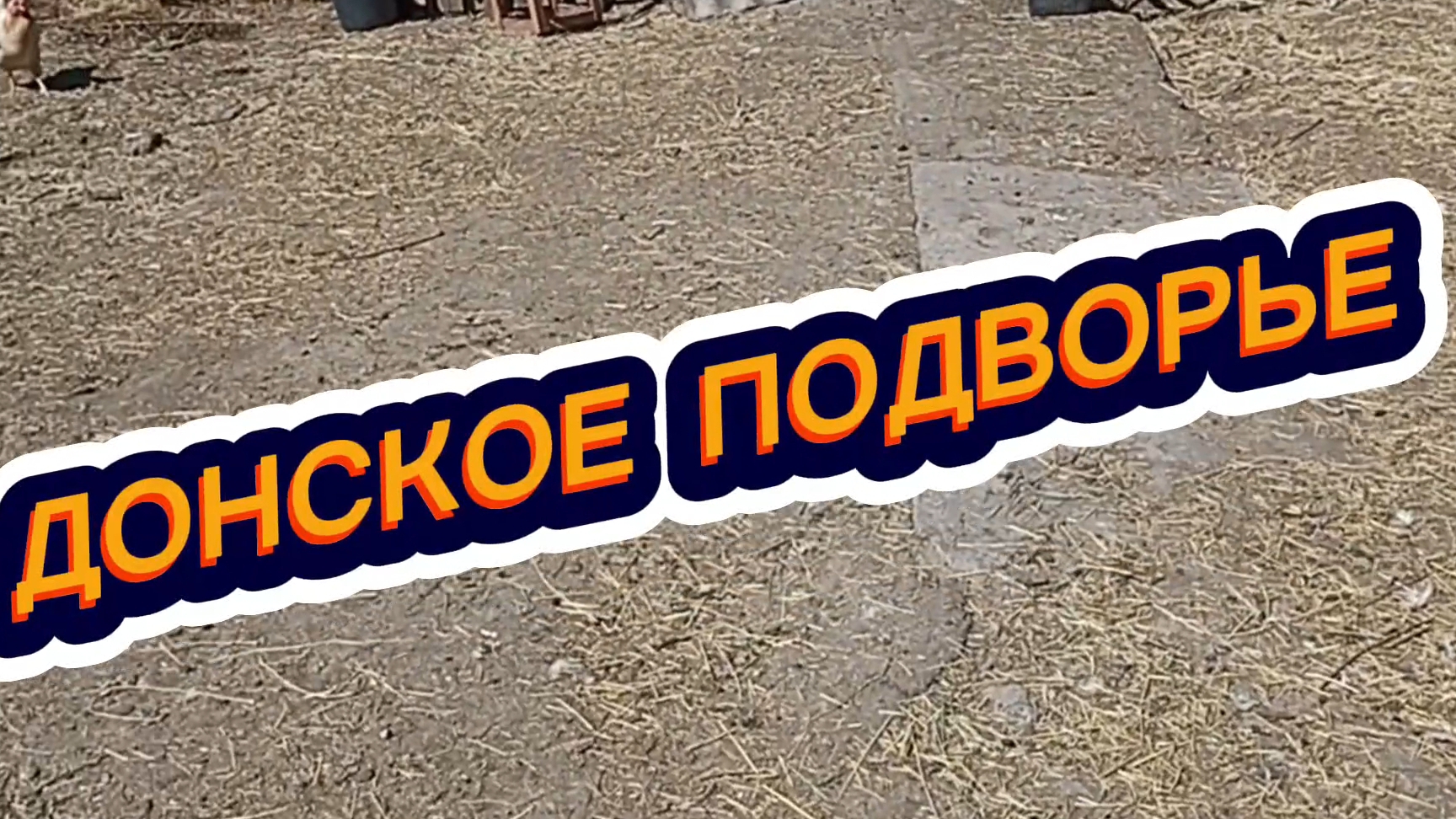 Козлята хулиганят//Квочка села на яйца.