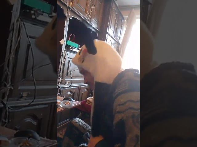 18.03.2025