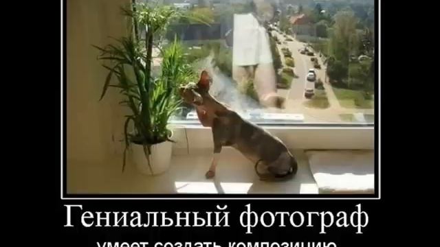 Да ваще прикольная нарека ПРИКОЛОВ!