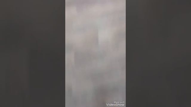 Да будет шоу прикол