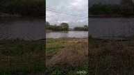 Стрелецкий Ручей.mp4