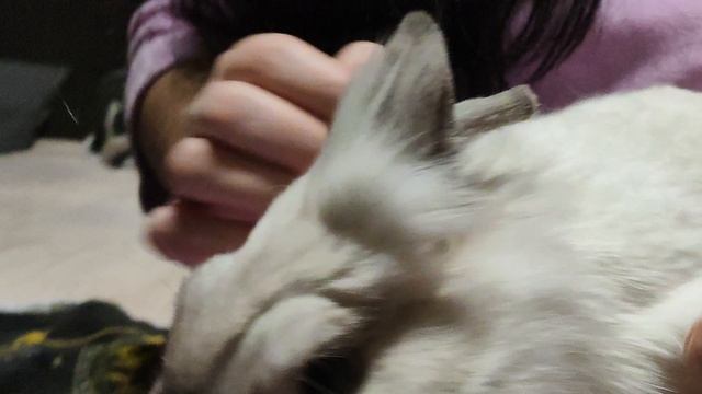 1000018134.mp4