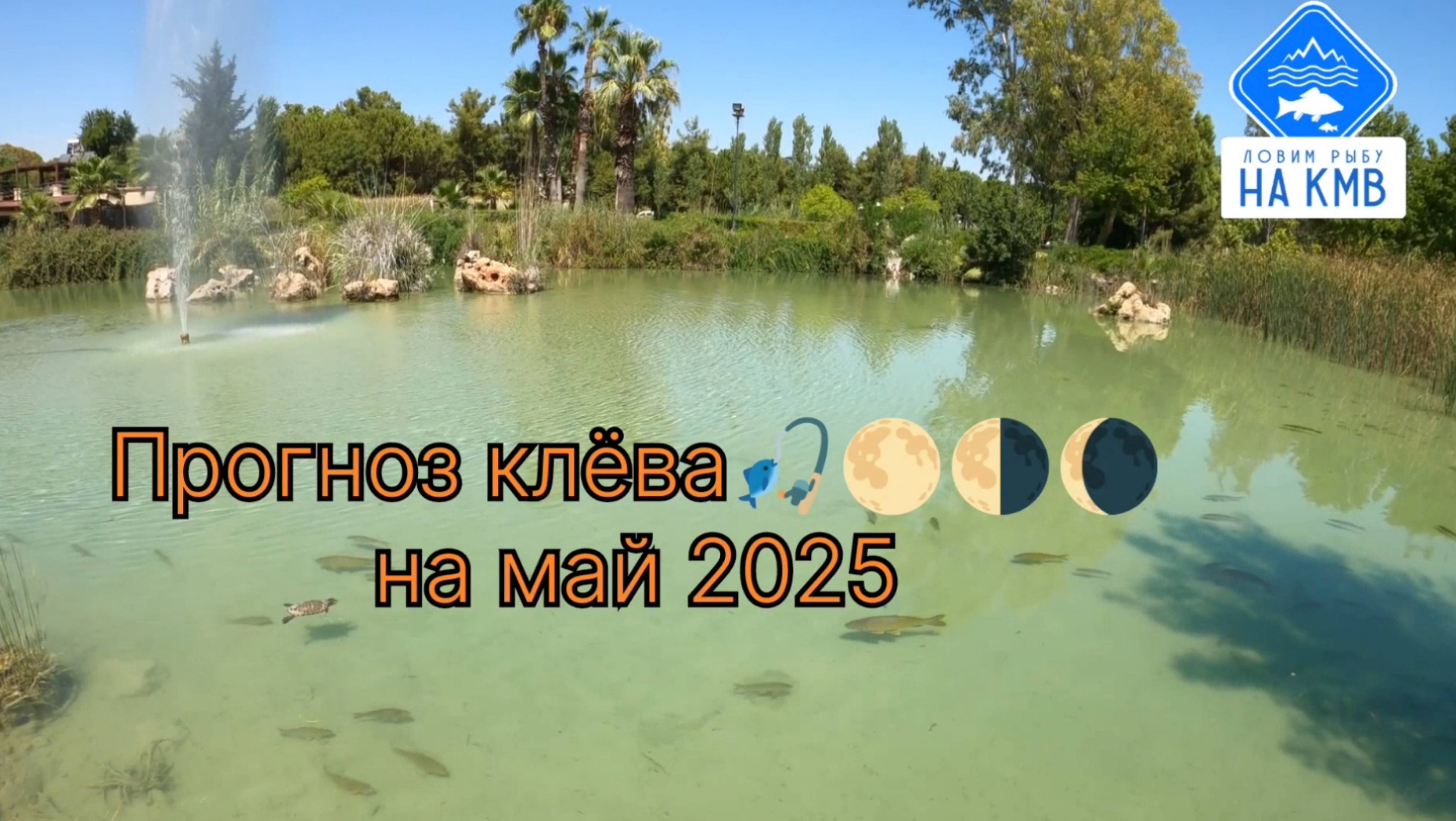 Прогноз клёва🎣. Лунный календарь рыбака на май 2025г.🌕🌗🌑