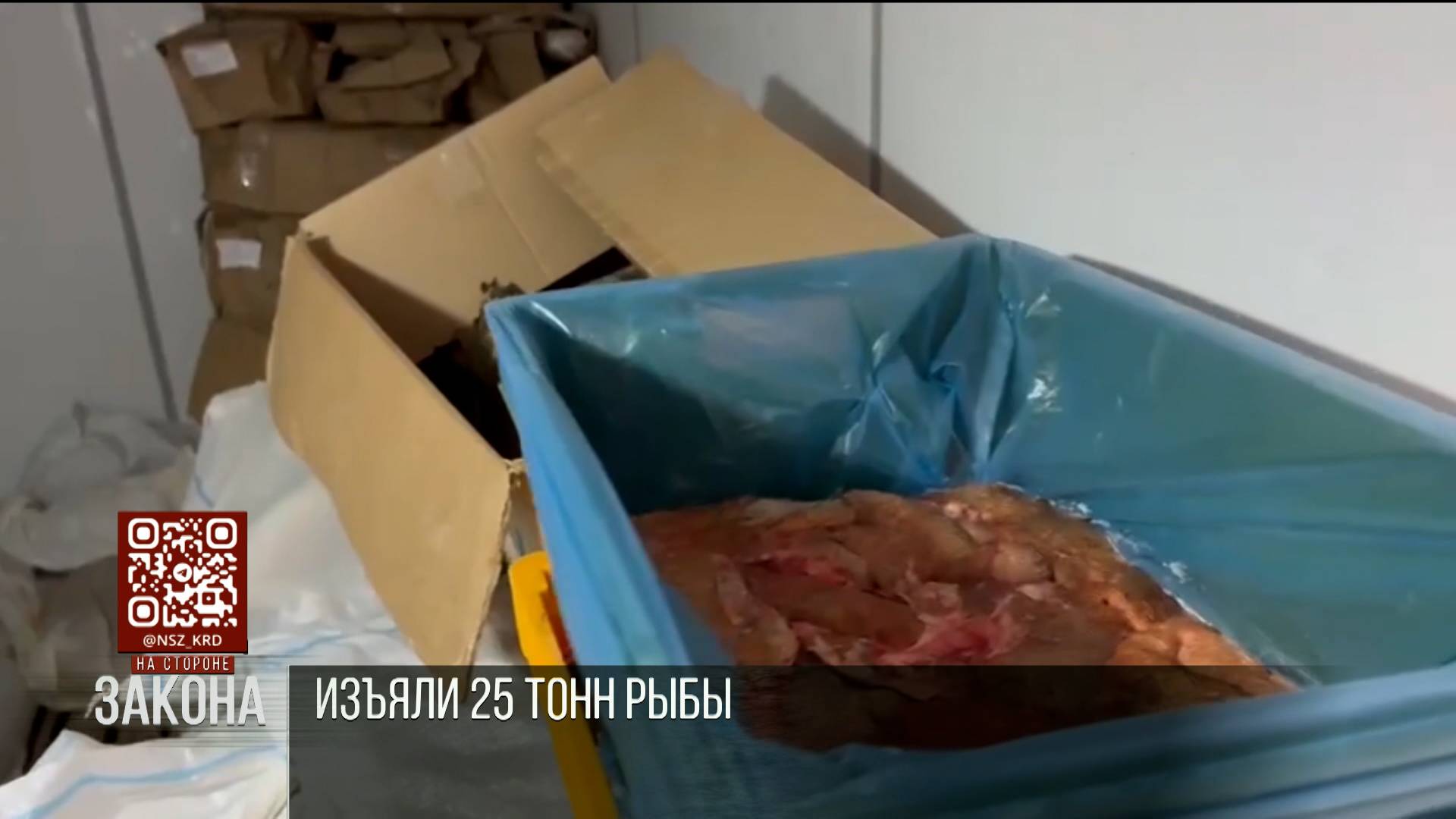 Полицейские изъяли 25 тонн рыбы из незаконного оборота на Кубани